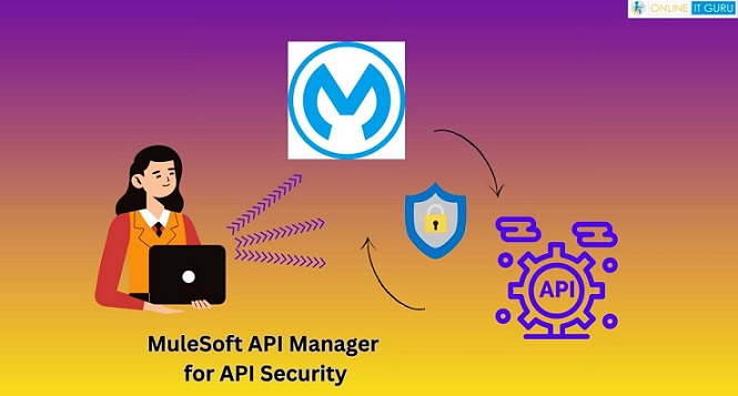 MuleSoft API Manager for API Security